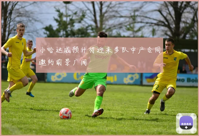 小哈达威预计将迎来多队中产合同邀约前景广阔